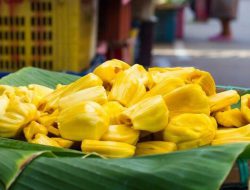 Manfaat dan Kandungan Gizi Buah Nangka untuk kesehatan Tubuh